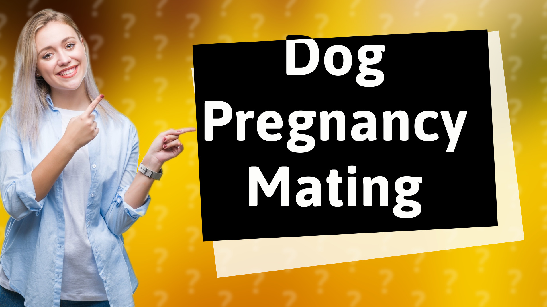 Dog Pregnancy Mating