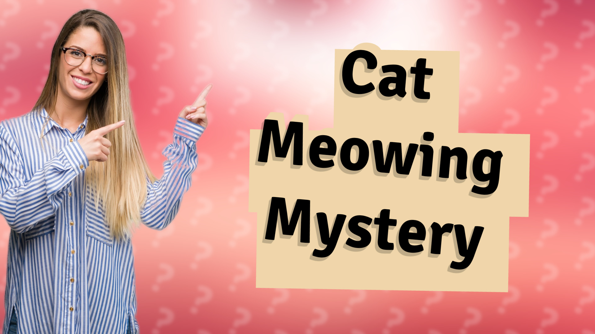Cat Meowing Mystery