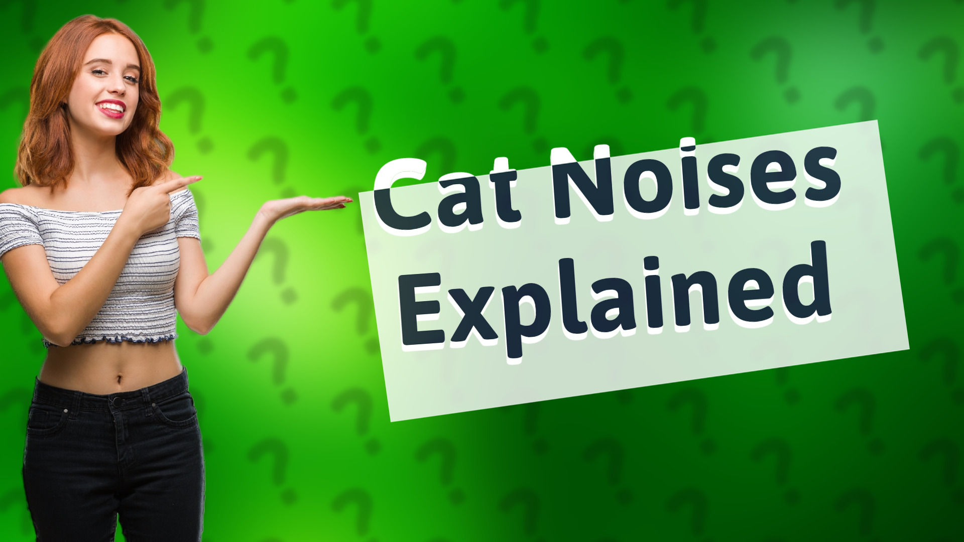 Cat Noises Explained