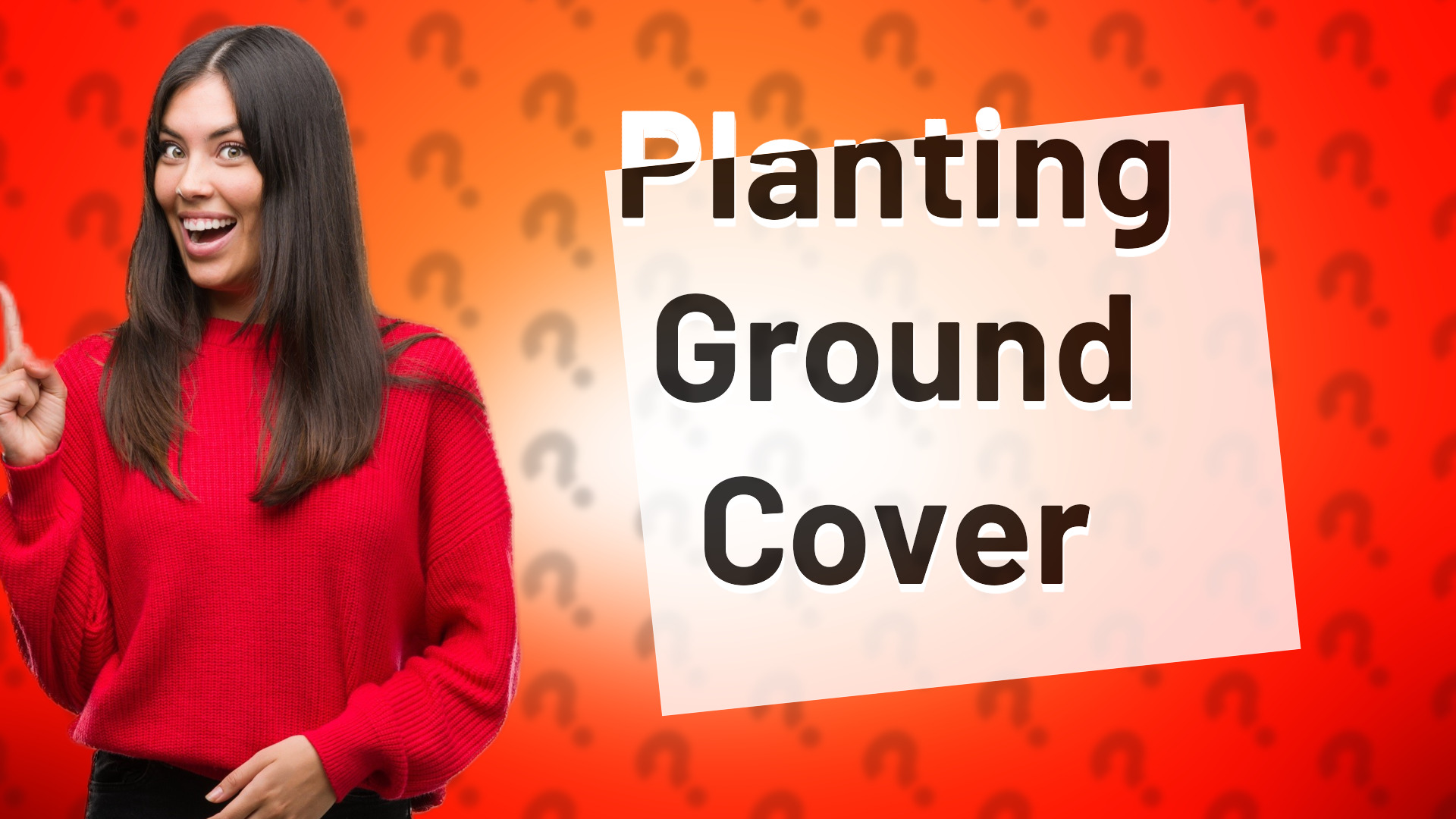 Planting Ground Cover
