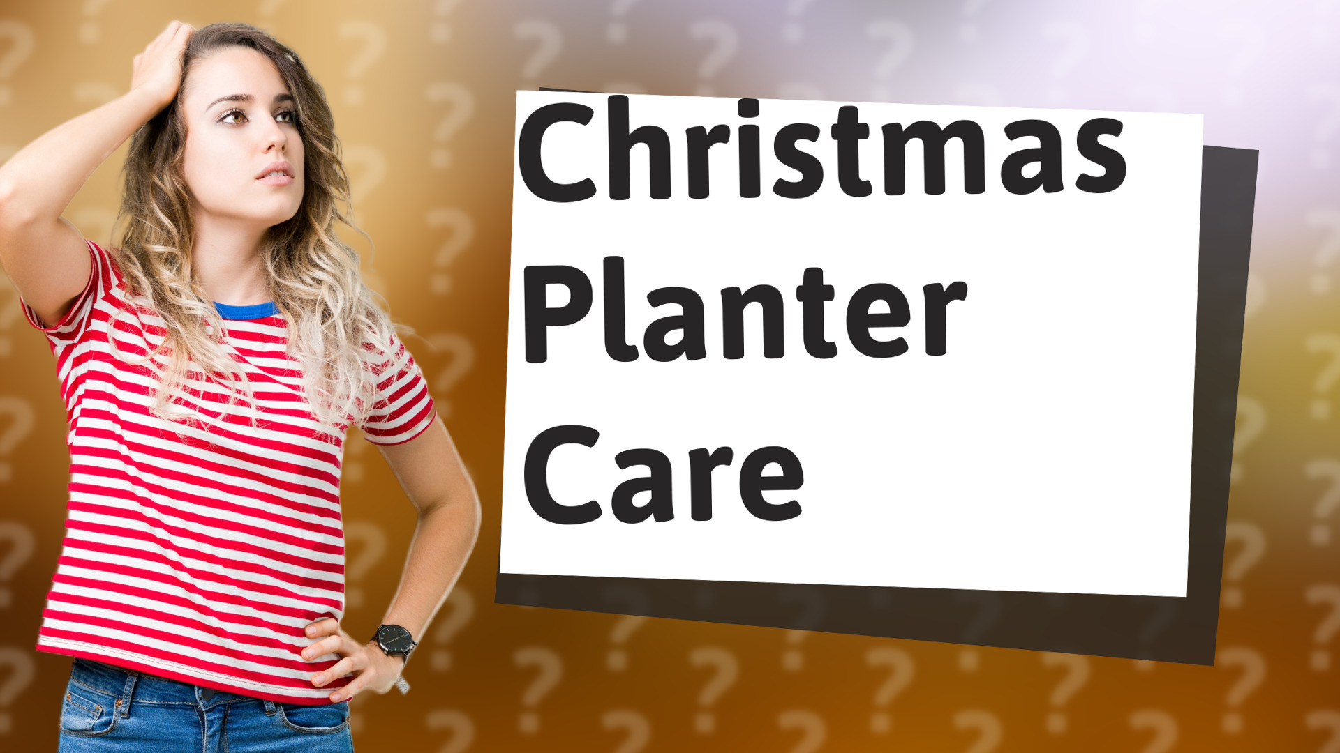 Christmas Planter Care