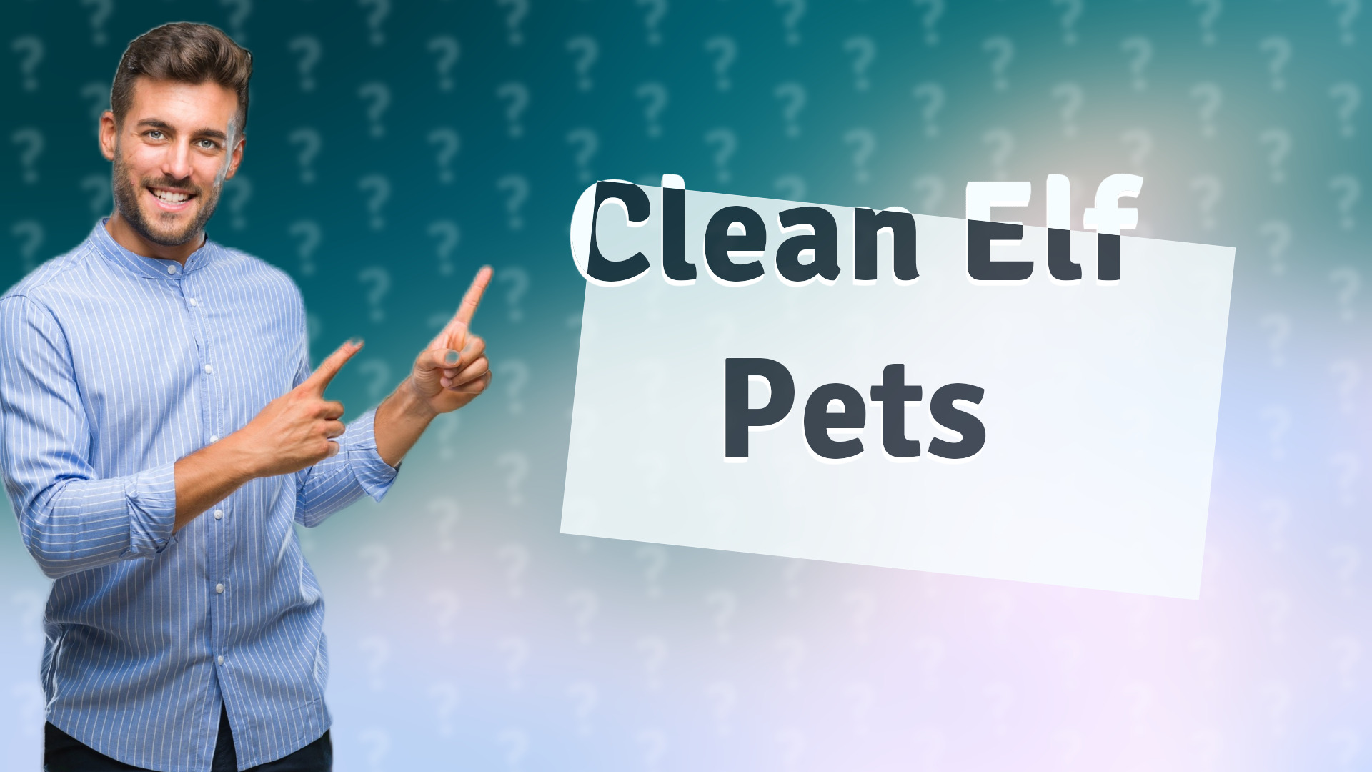 Clean Elf Pets