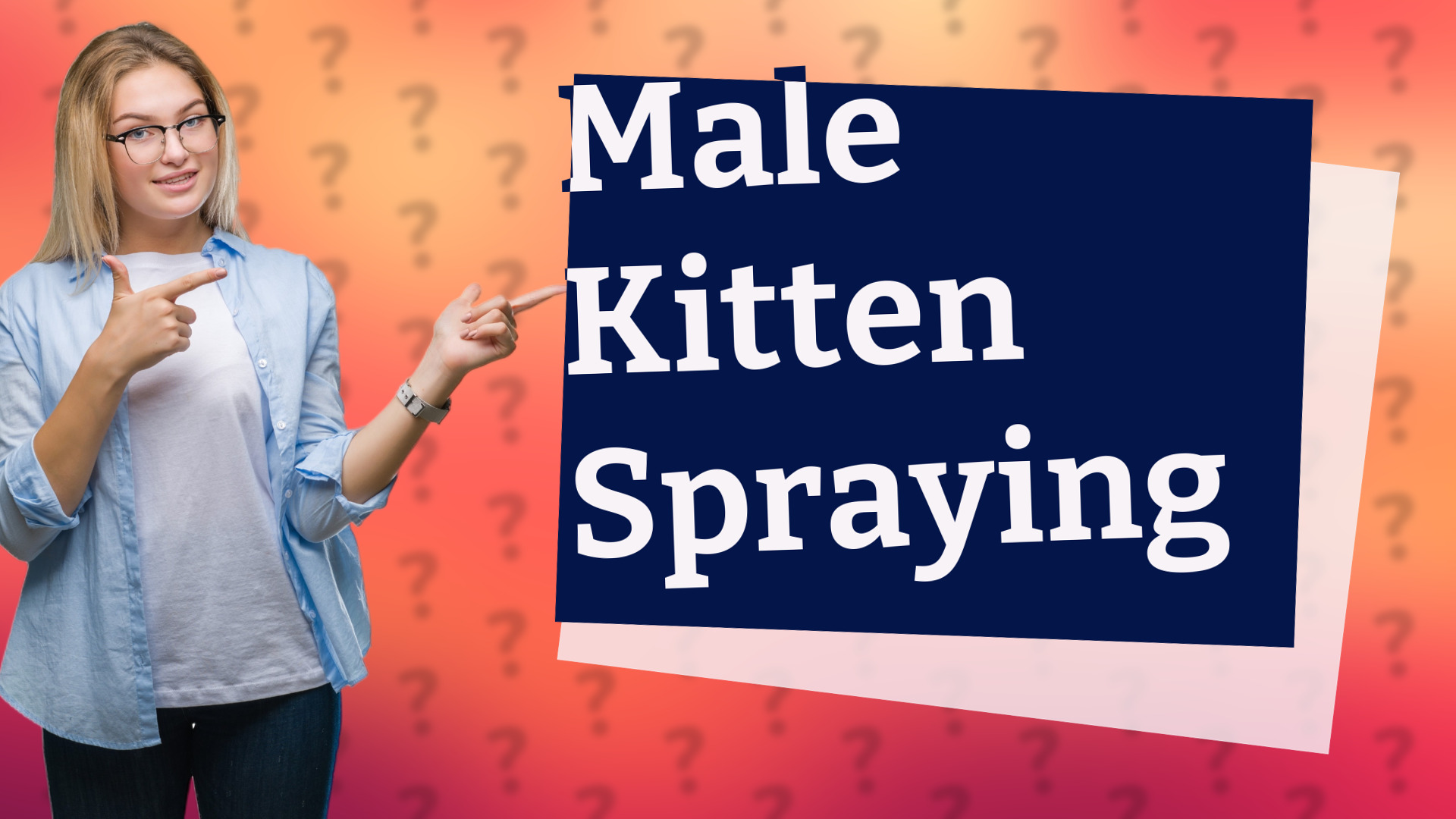 Male Kitten Spraying
