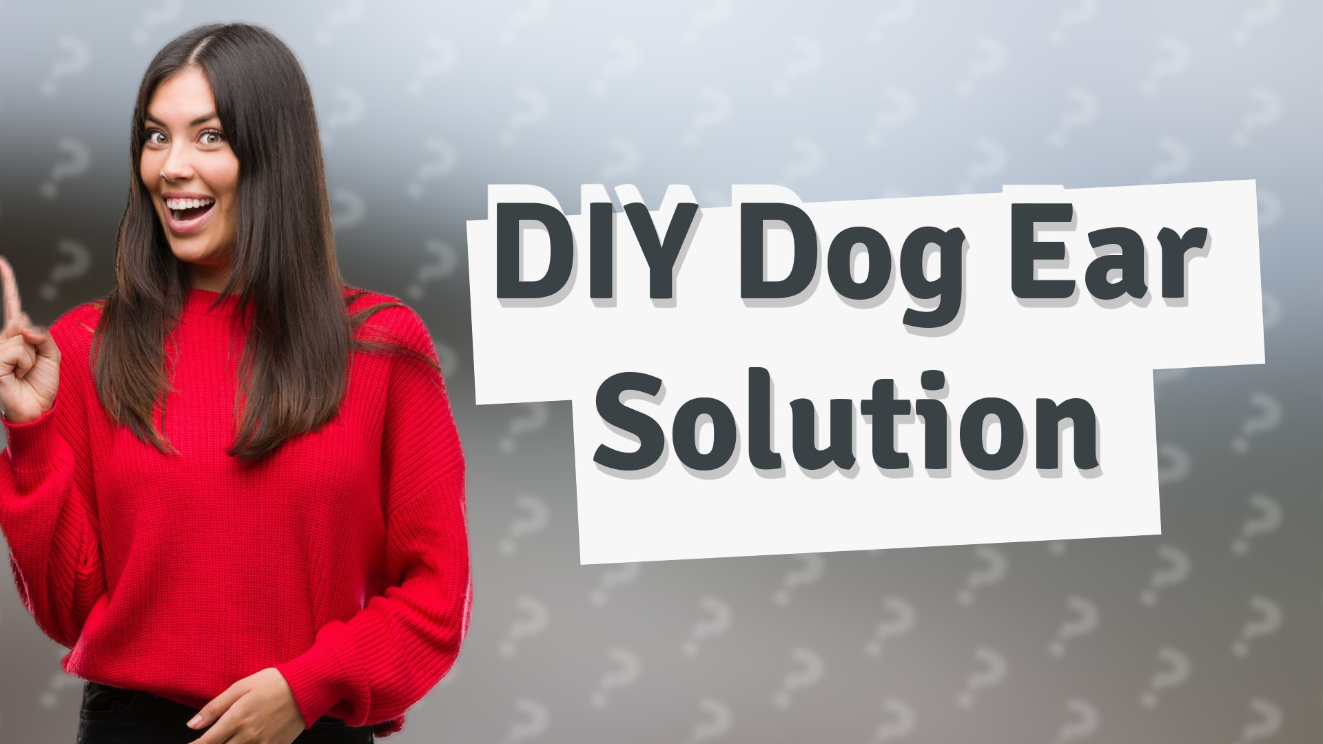 DIY Dog Ear Solution