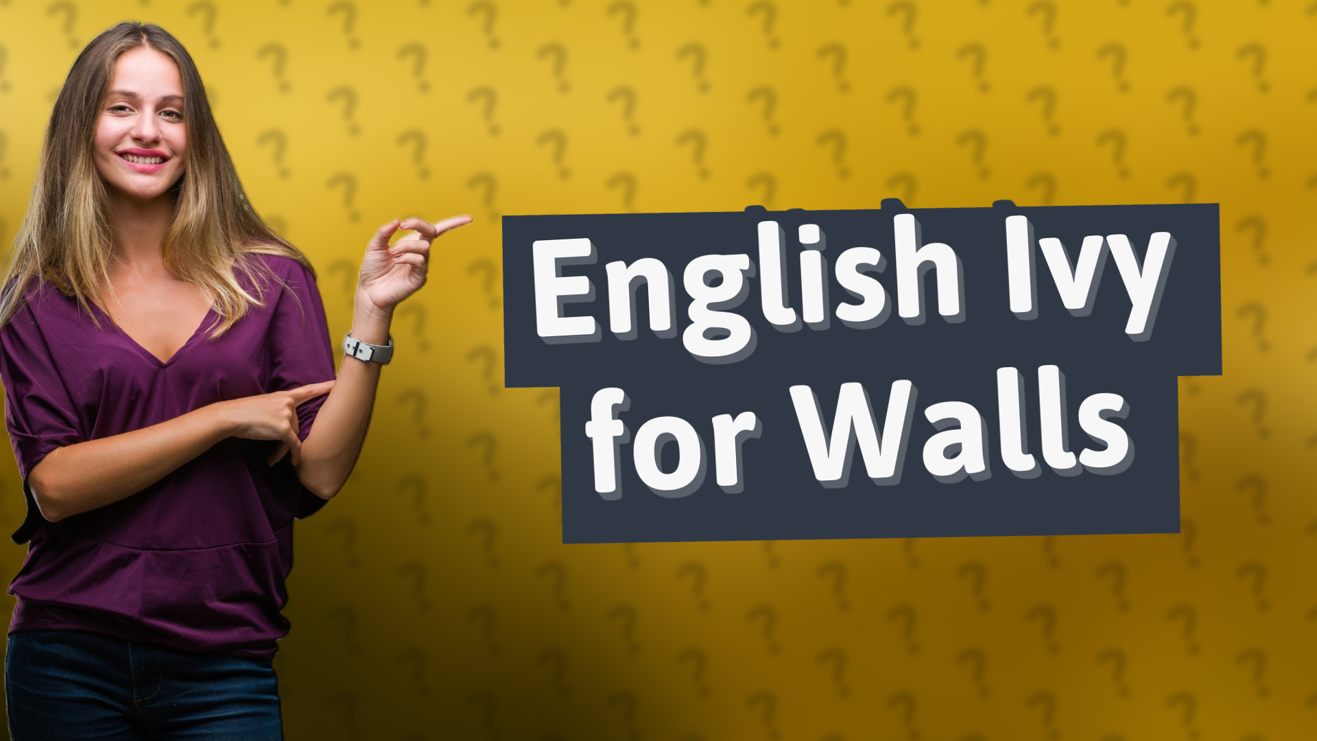 English Ivy for Walls