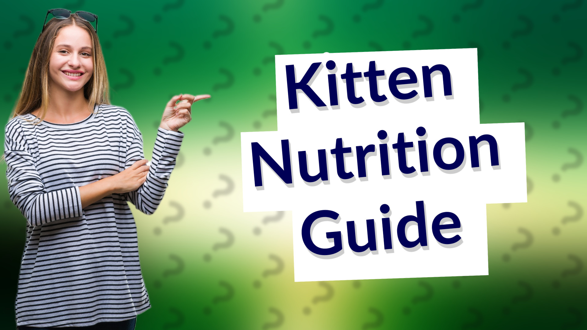 Kitten Nutrition Guide