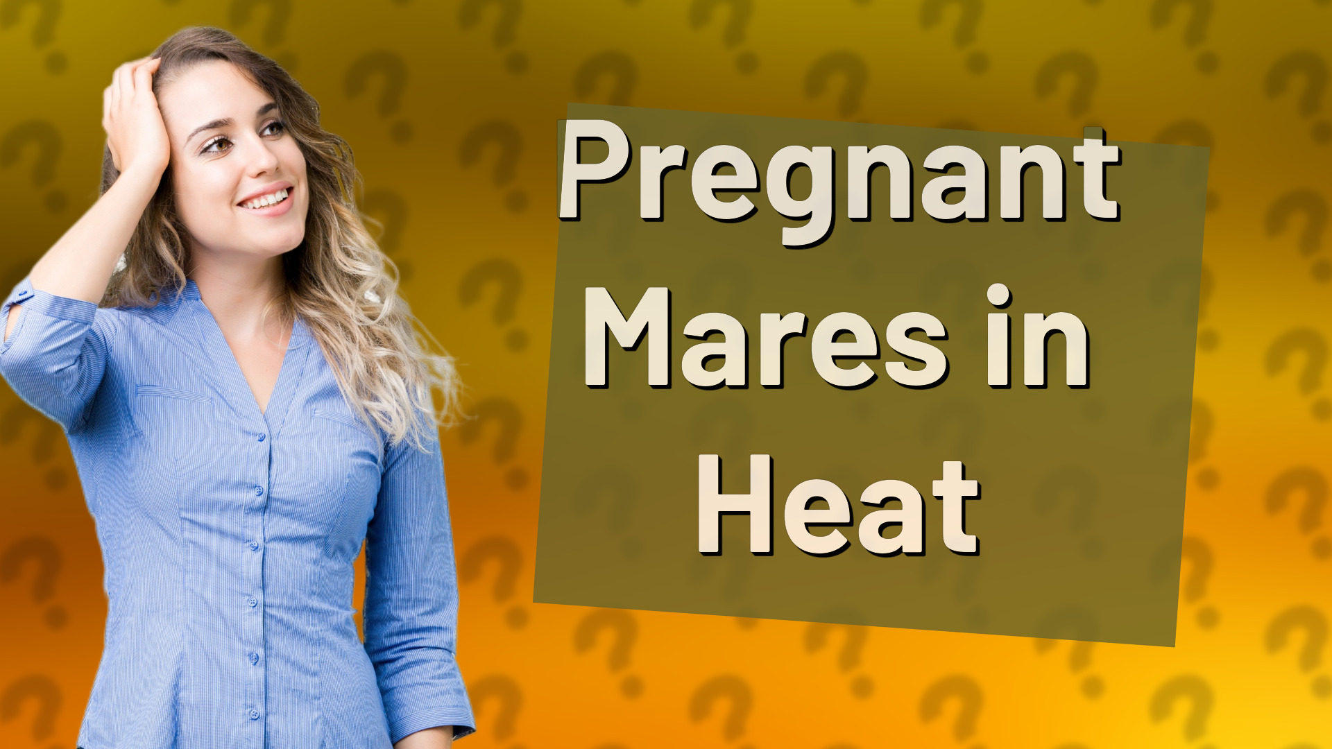 Pregnant Mares in Heat