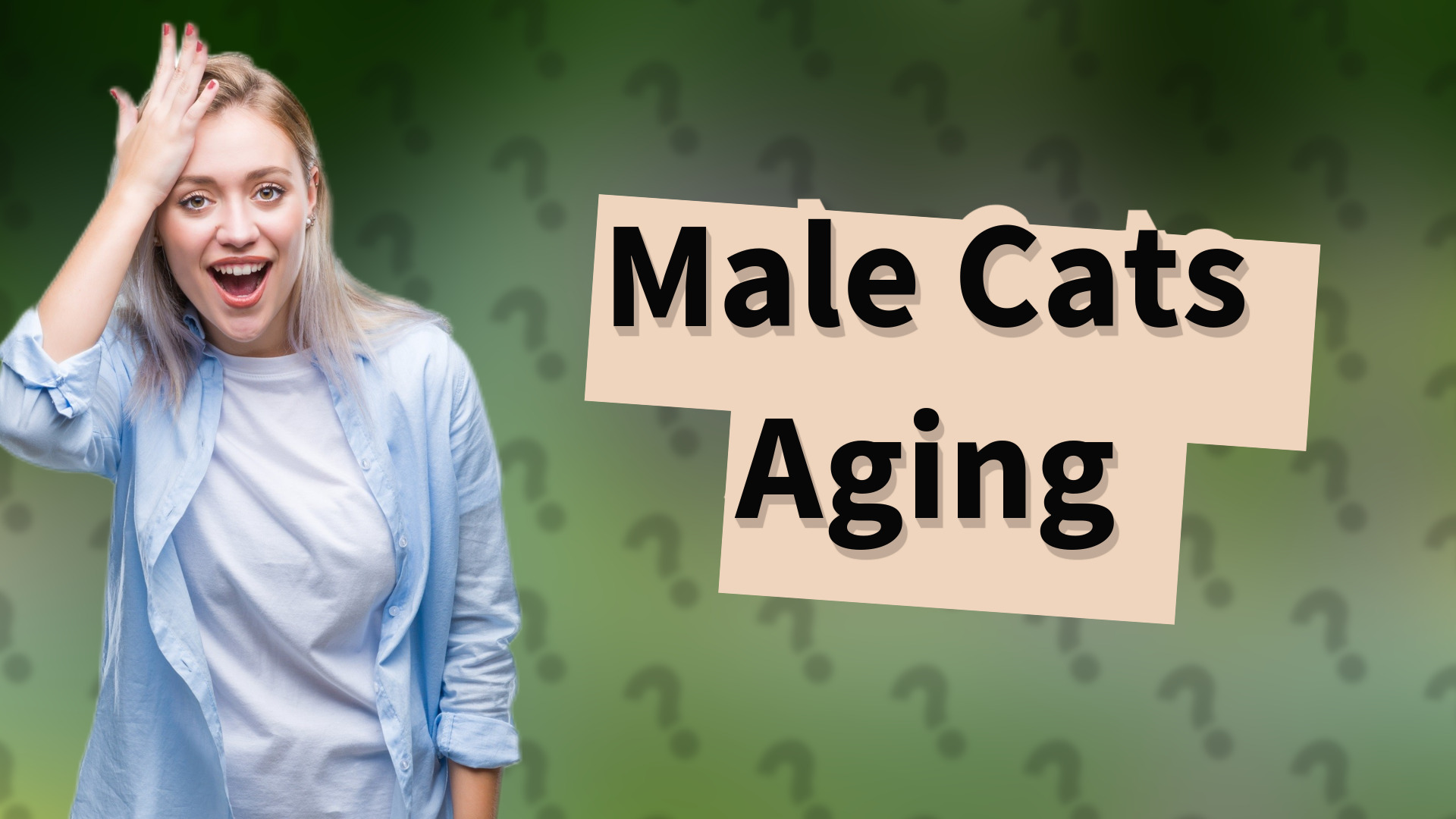 Male Cats Aging