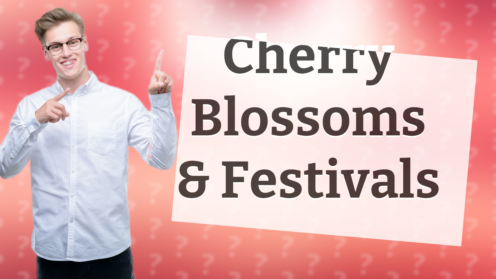 Cherry Blossoms & Festivals