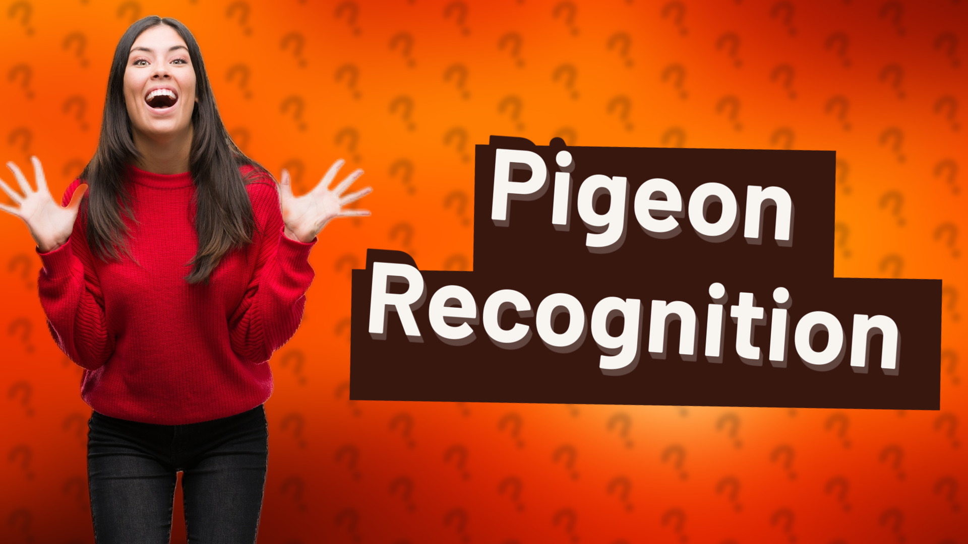 Pigeon Recognition