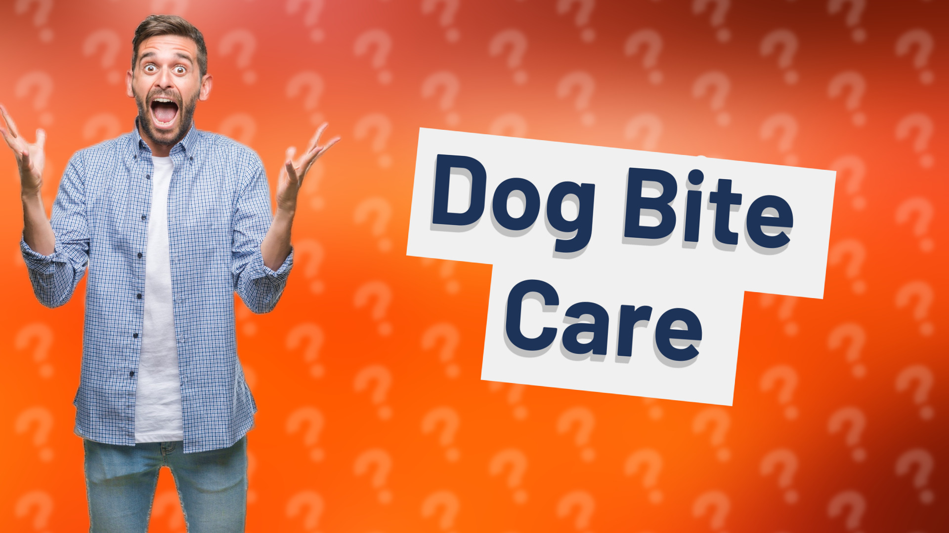 Dog Bite Care