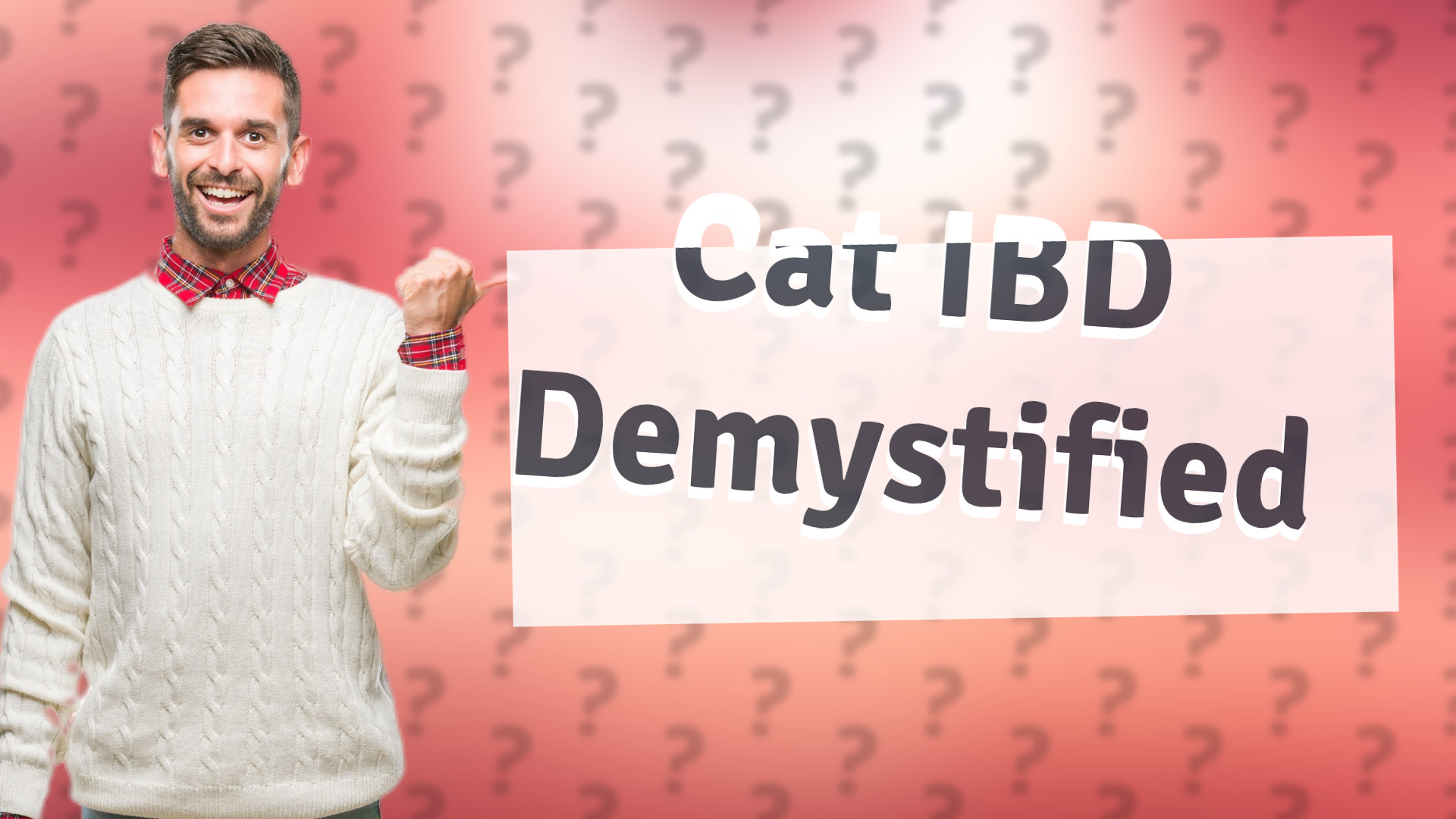 Cat IBD Demystified