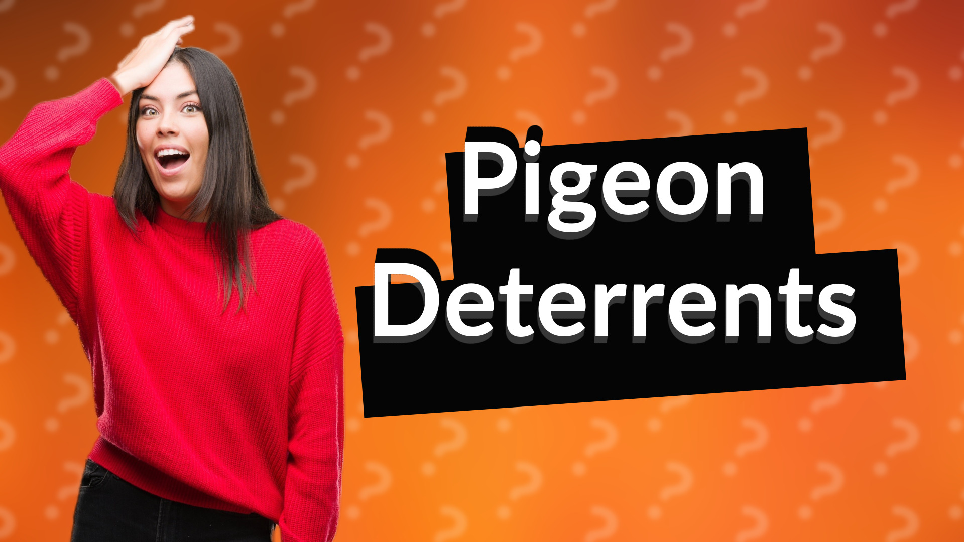 Pigeon Deterrents