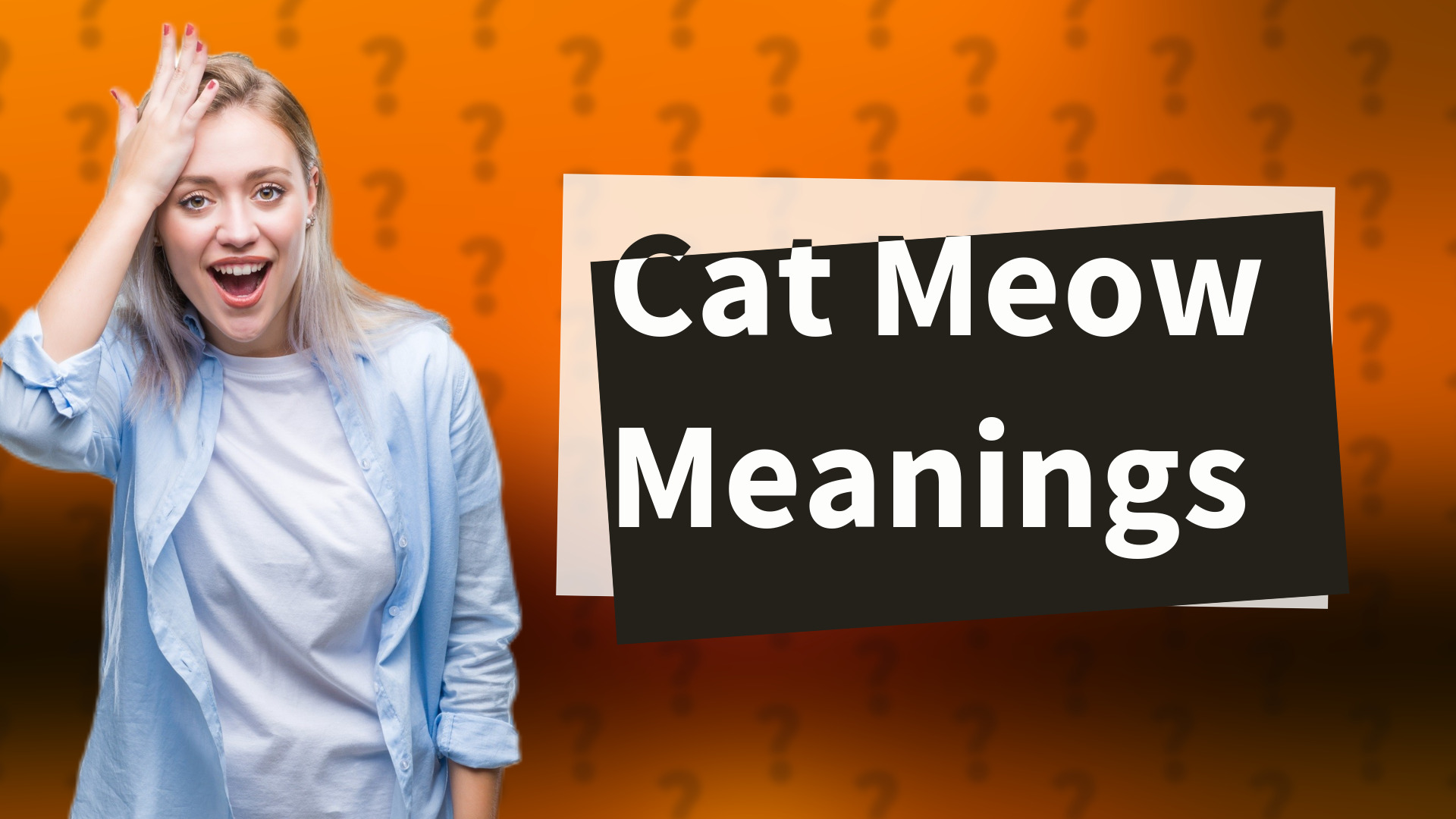Cat Meow Meanings