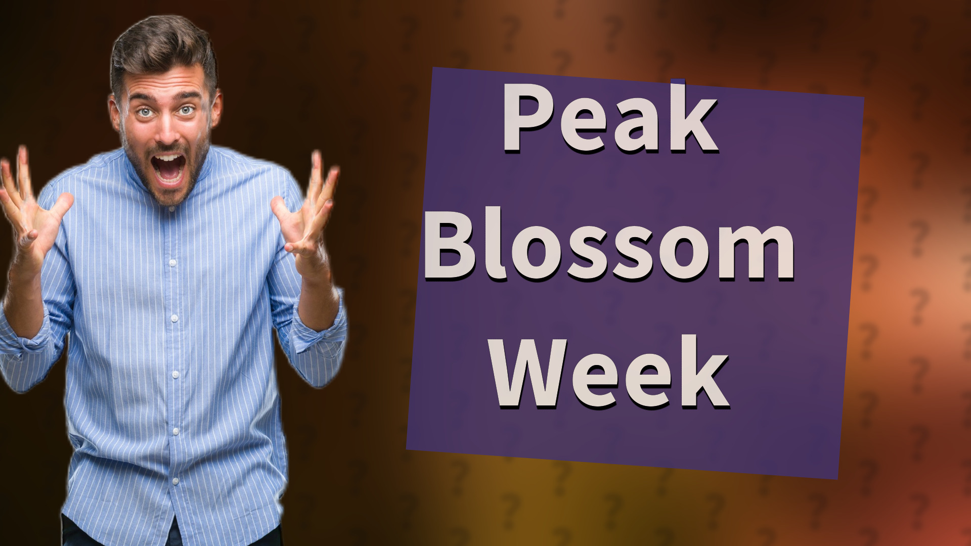 Peak Blossom Week