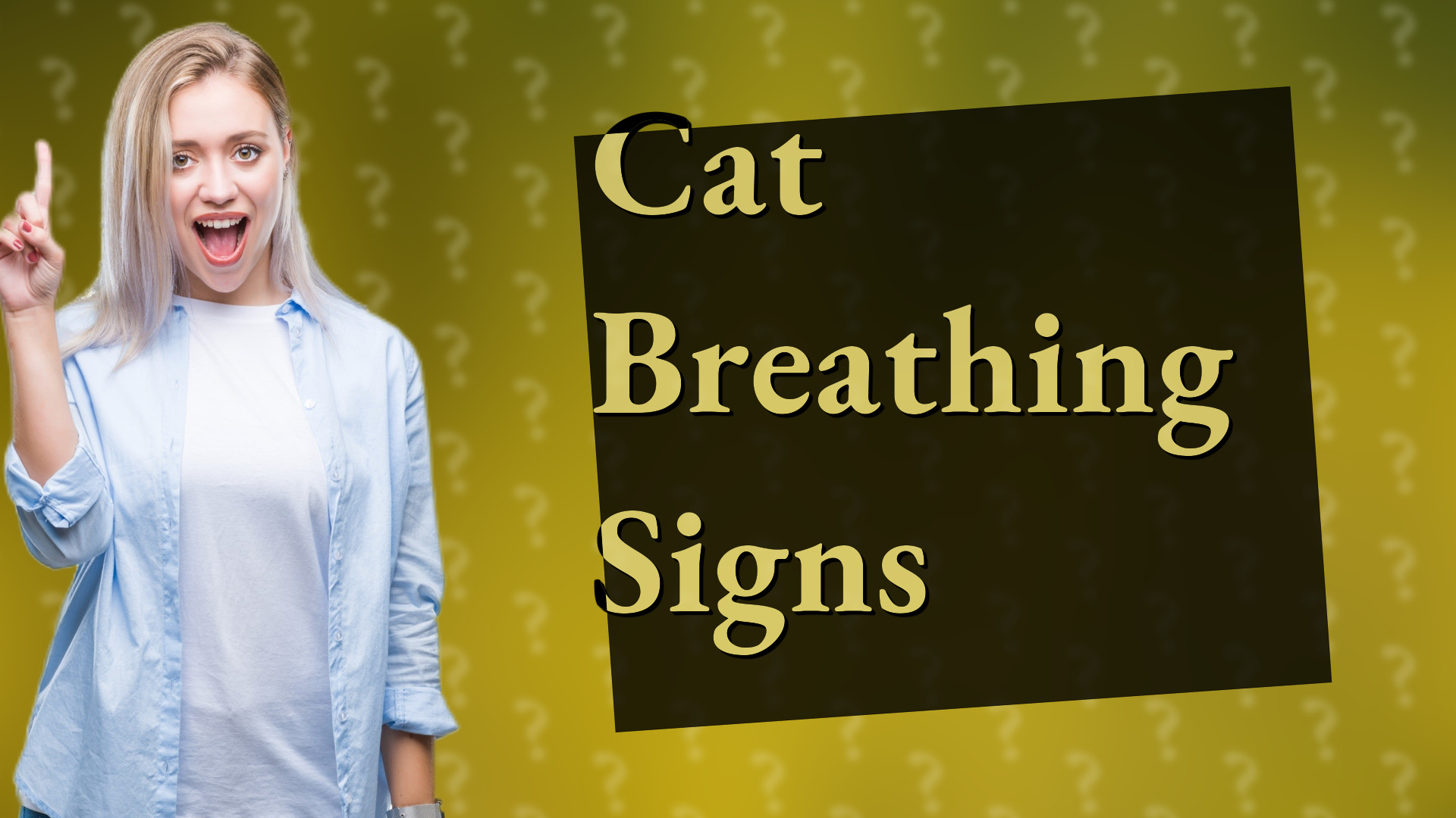 Cat Breathing Signs