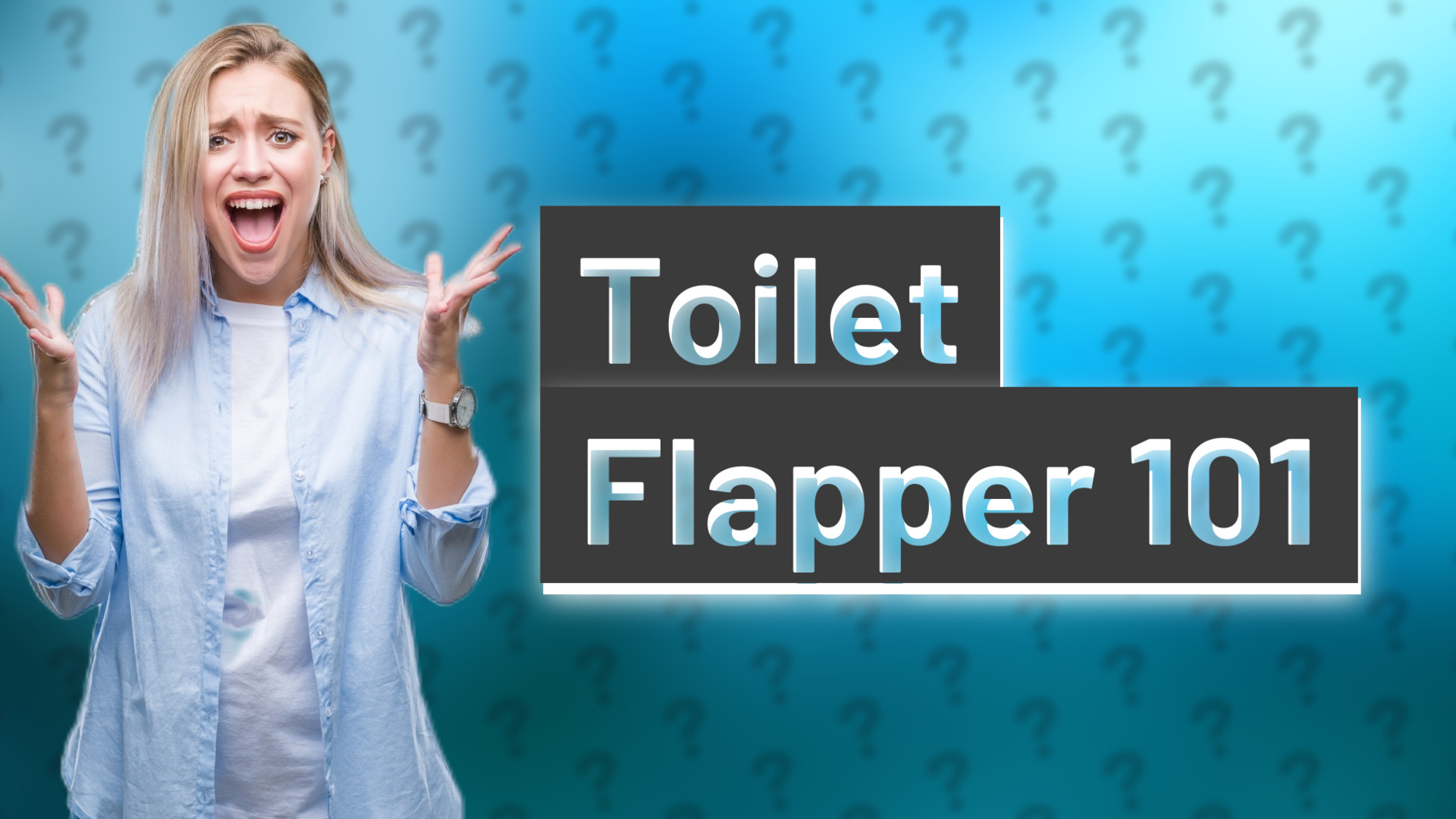 Toilet Flapper 101