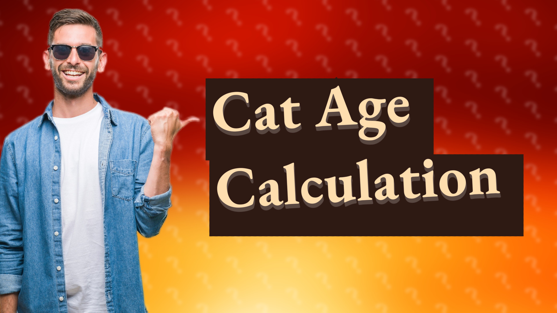 Cat Age Calculation
