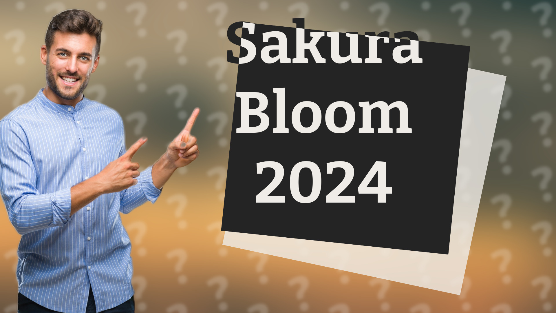 Sakura Bloom 2024