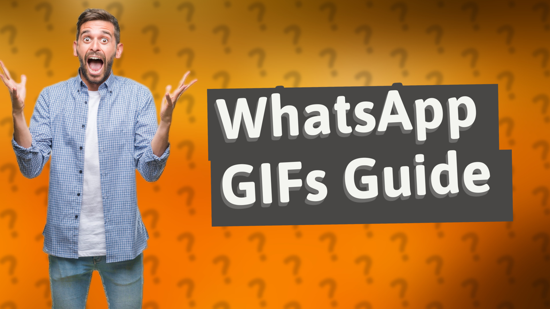 WhatsApp GIFs Guide