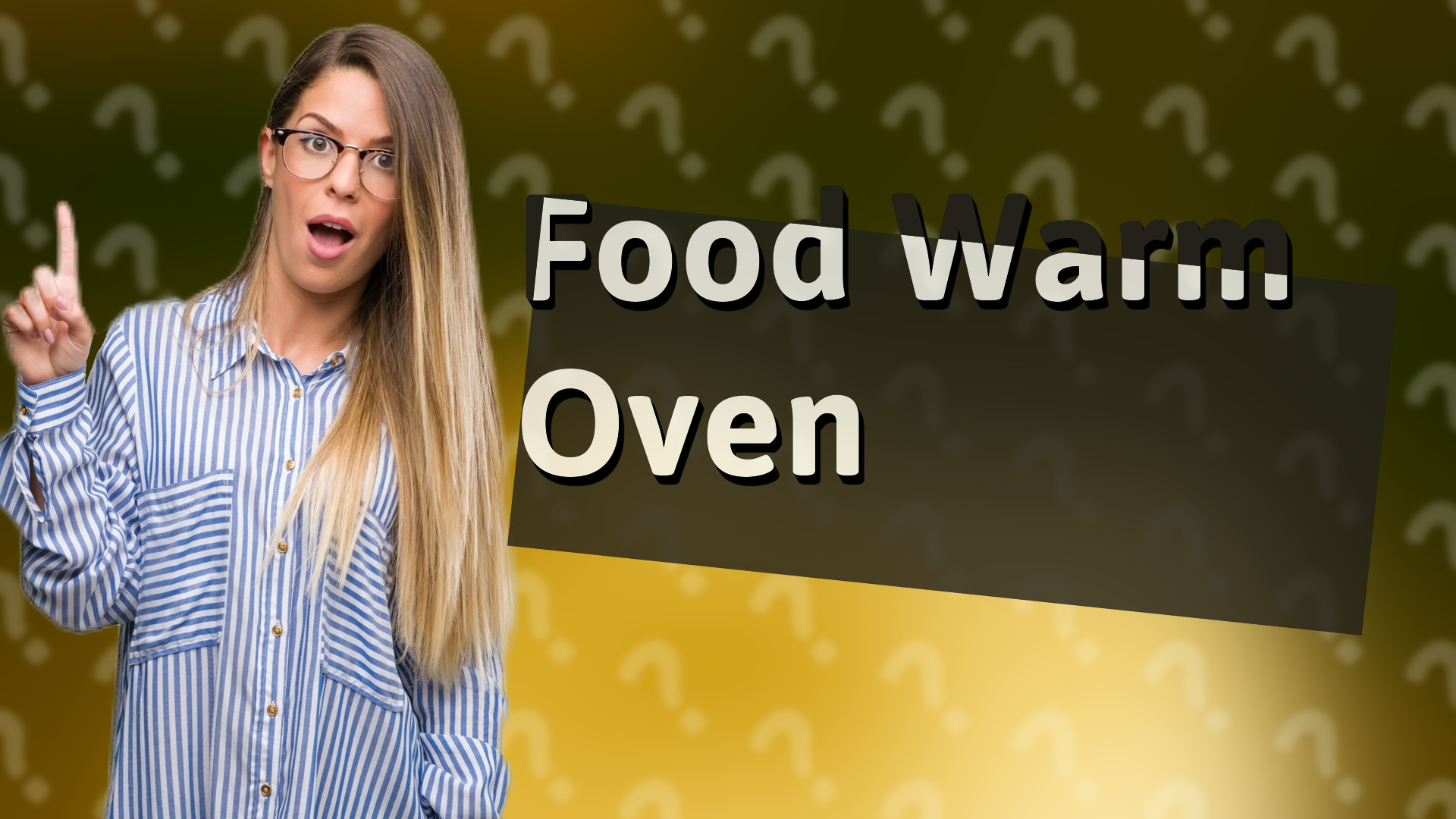 Food Warm Oven