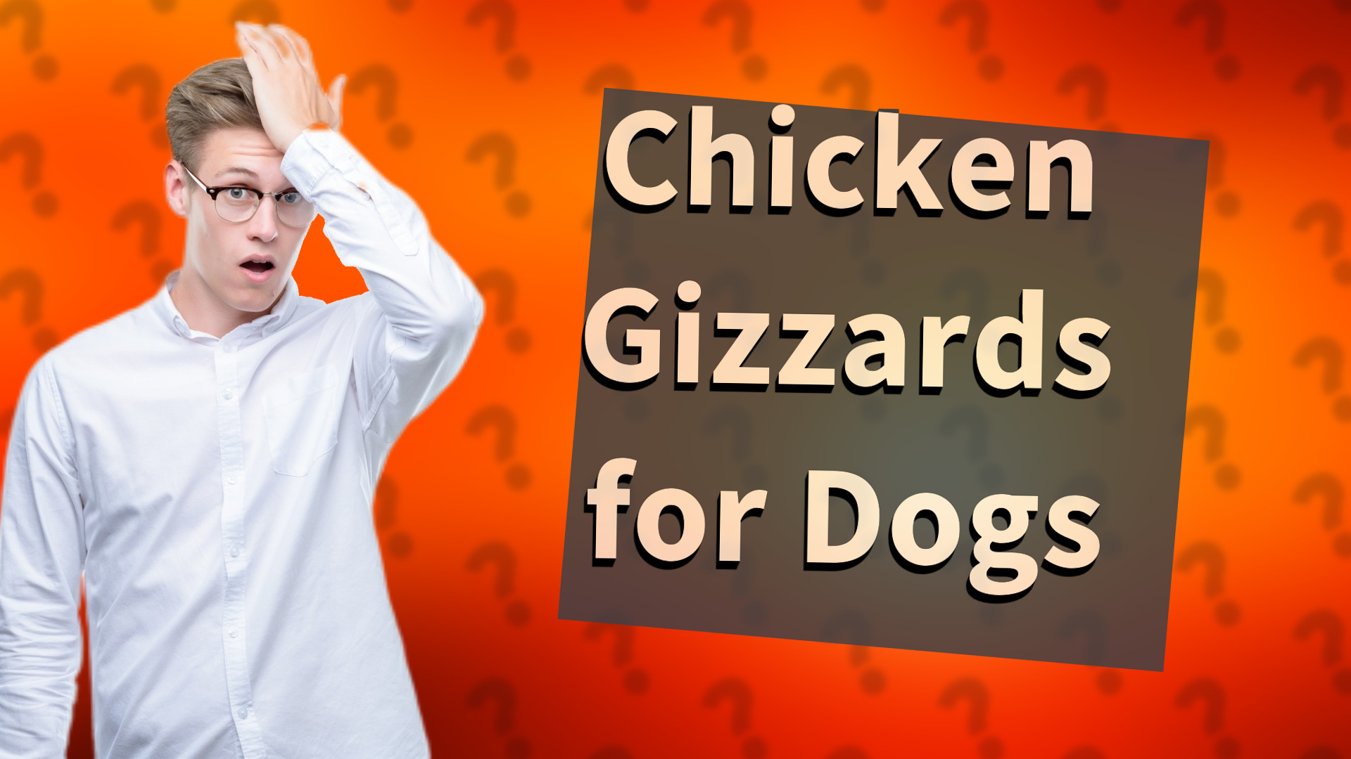 Chicken Gizzards for Dogs
