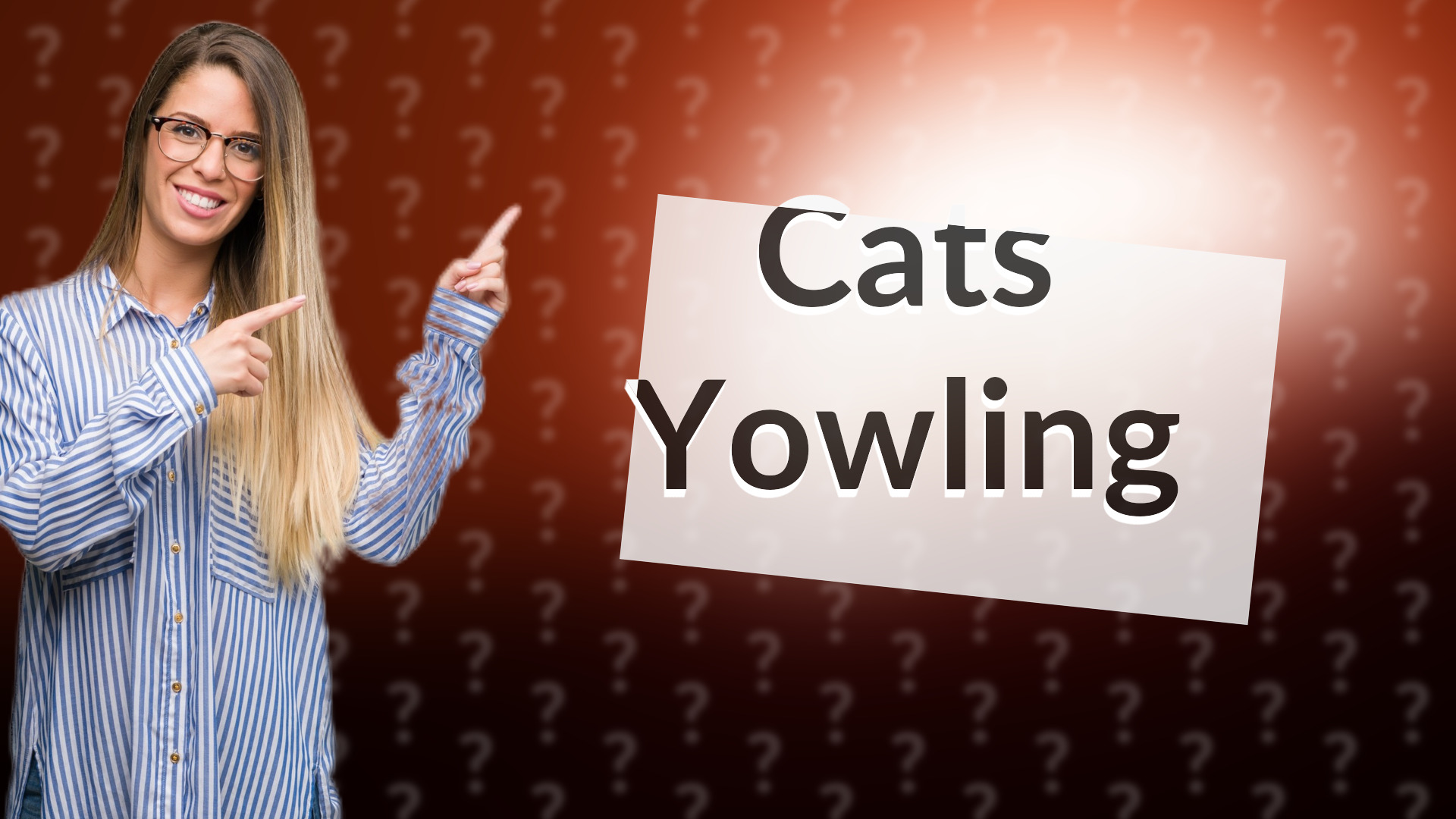 Cats Yowling