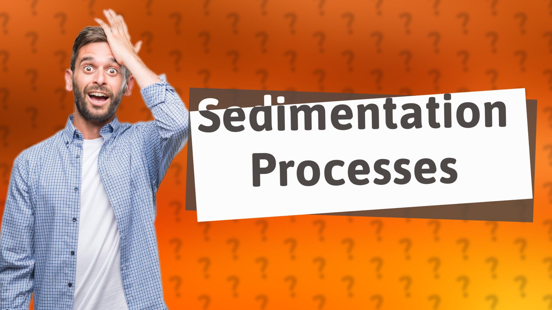 Sedimentation Processes