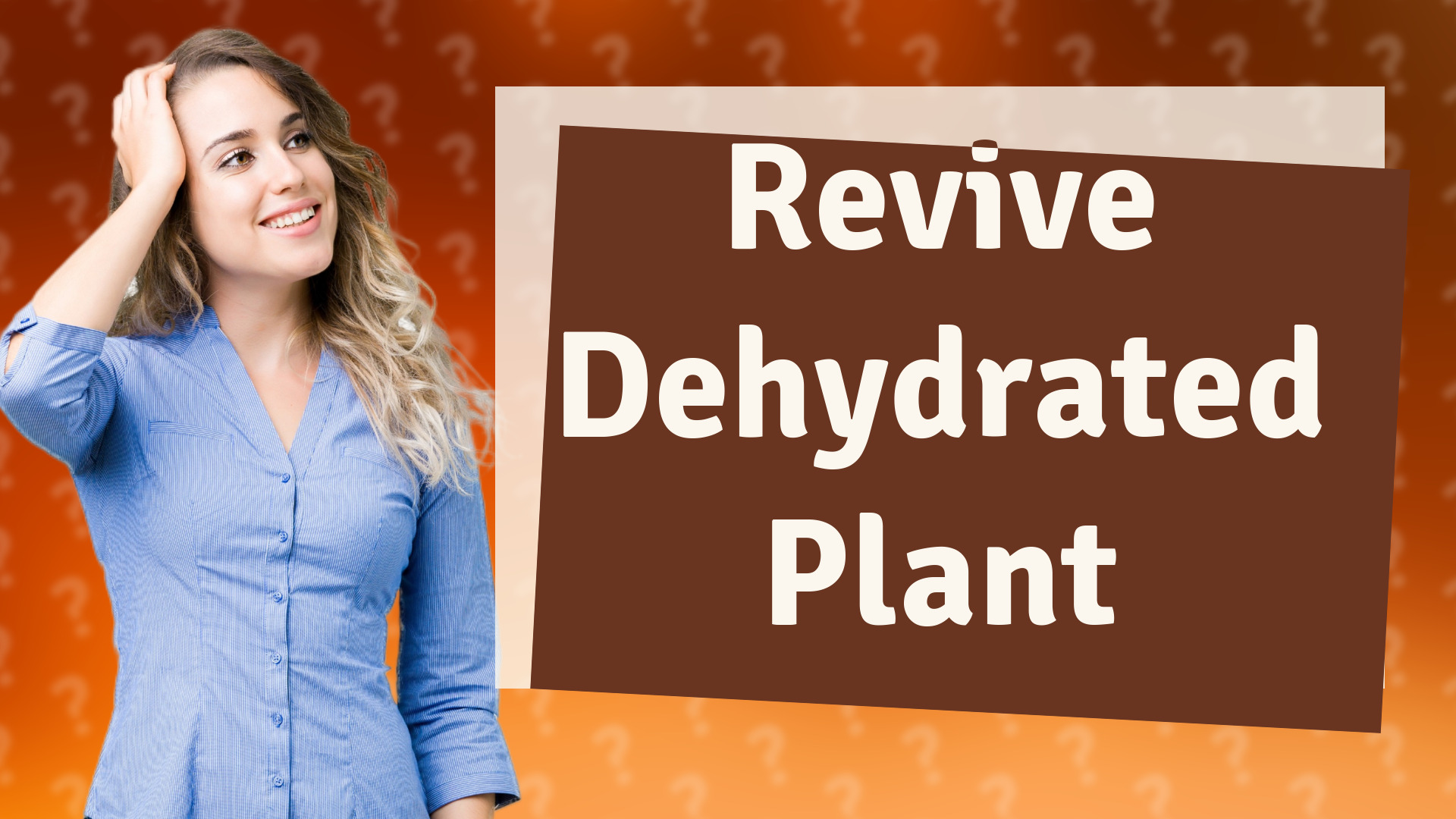 Revive Dehydrated Plant