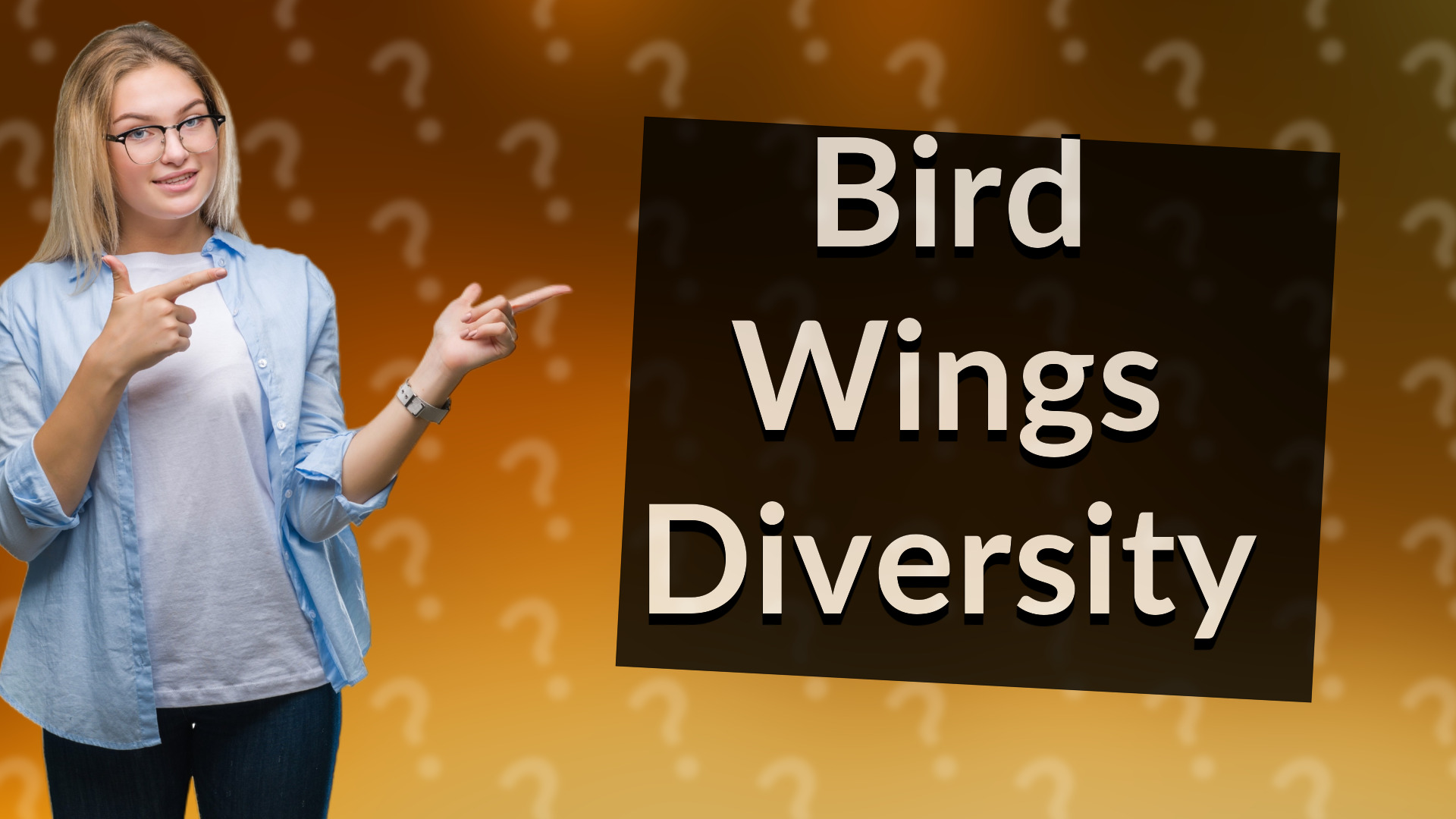 Bird Wings Diversity
