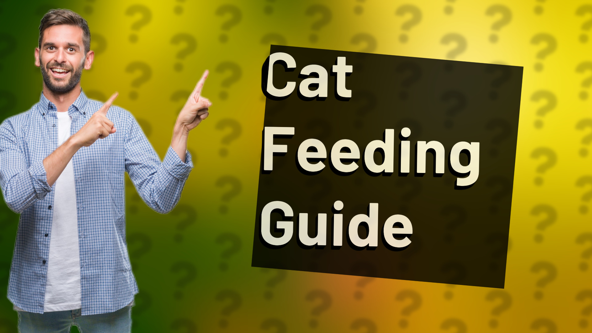 Cat Feeding Guide