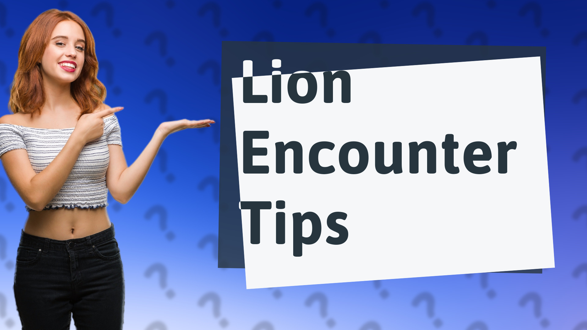 Lion Encounter Tips