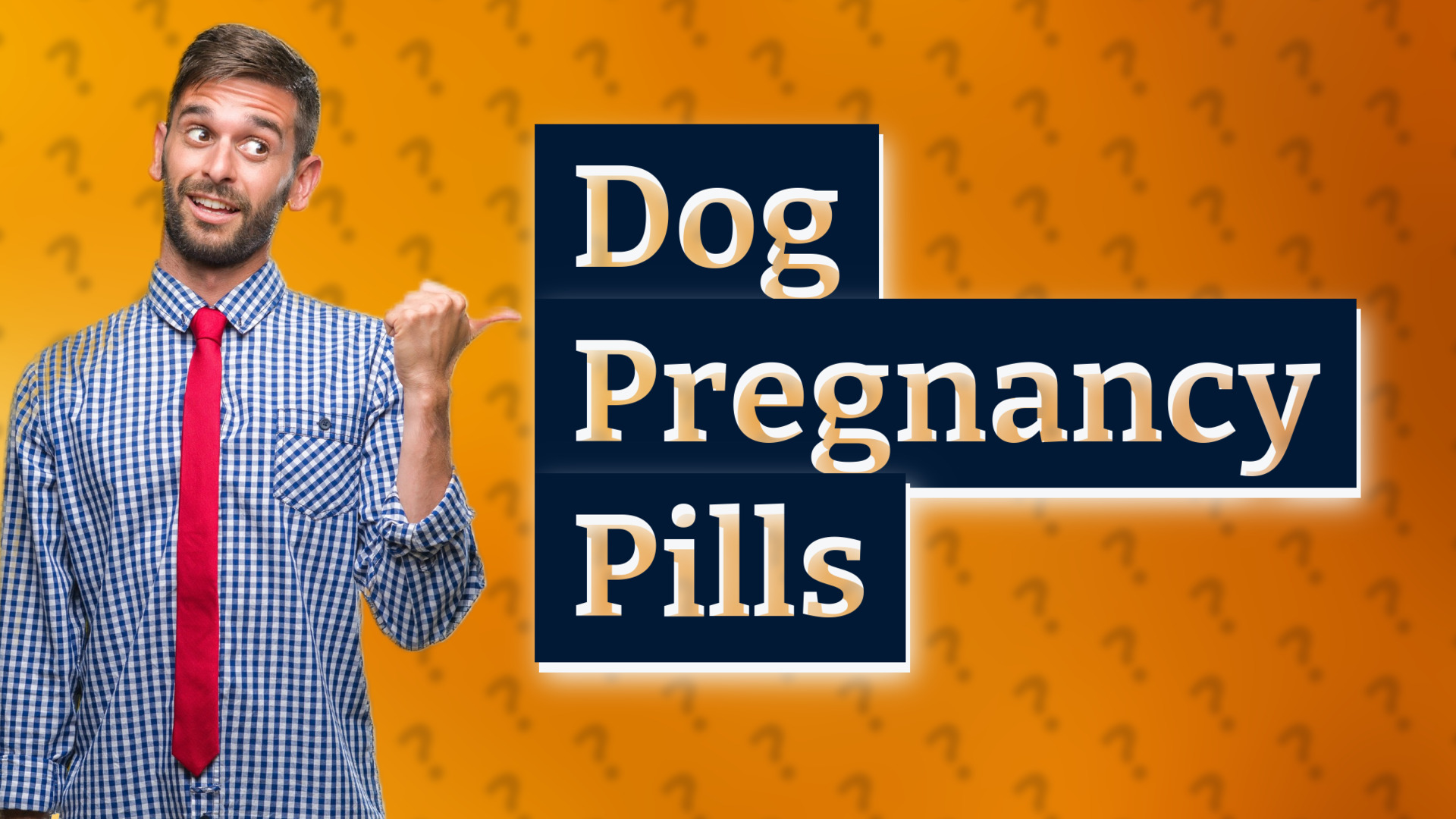 Dog Pregnancy Pills