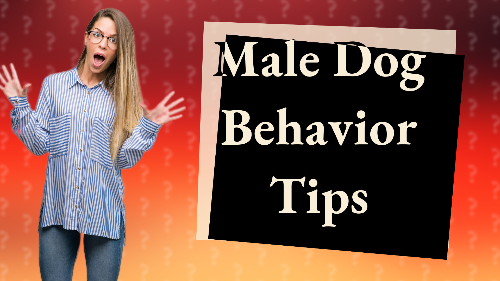 Male Dog Behavior Tips