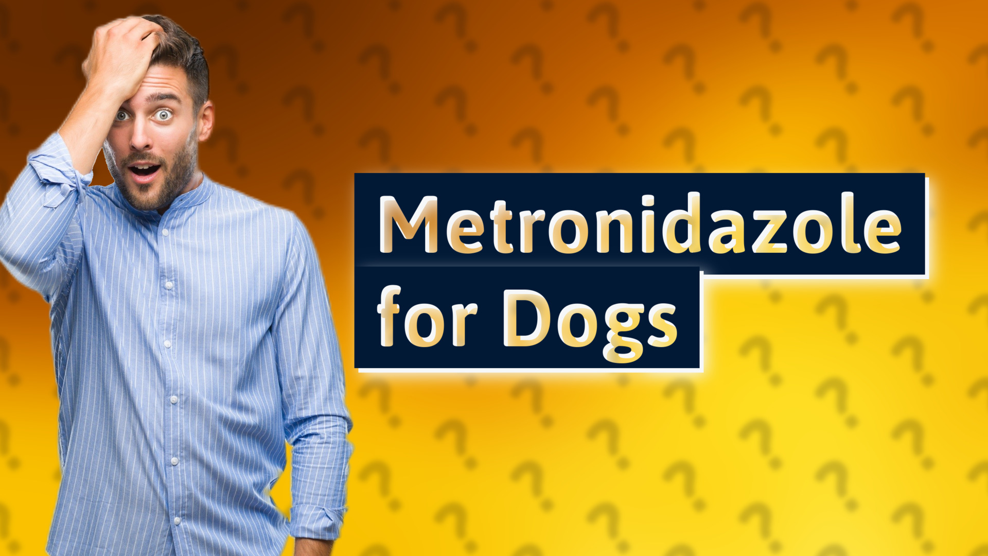 Metronidazole for Dogs
