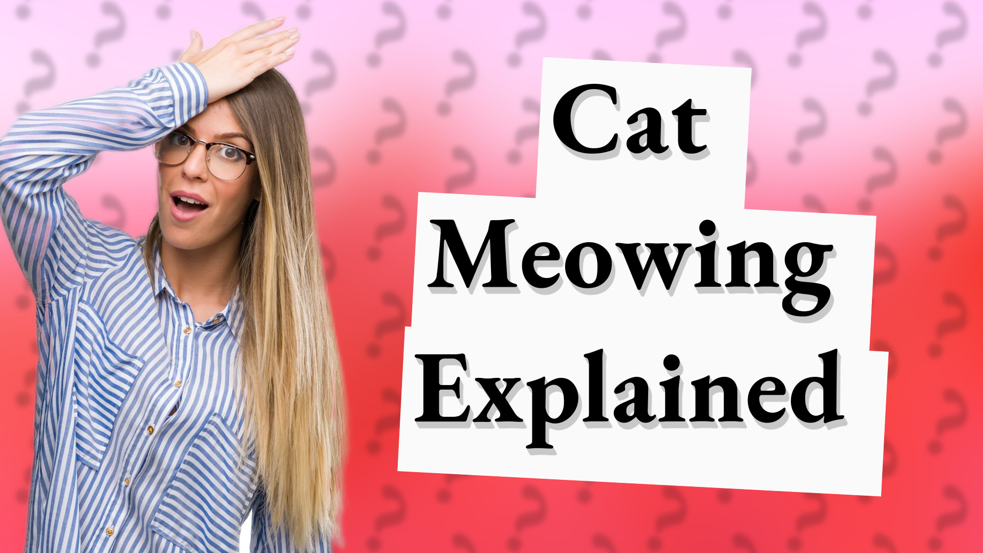 Cat Meowing Explained