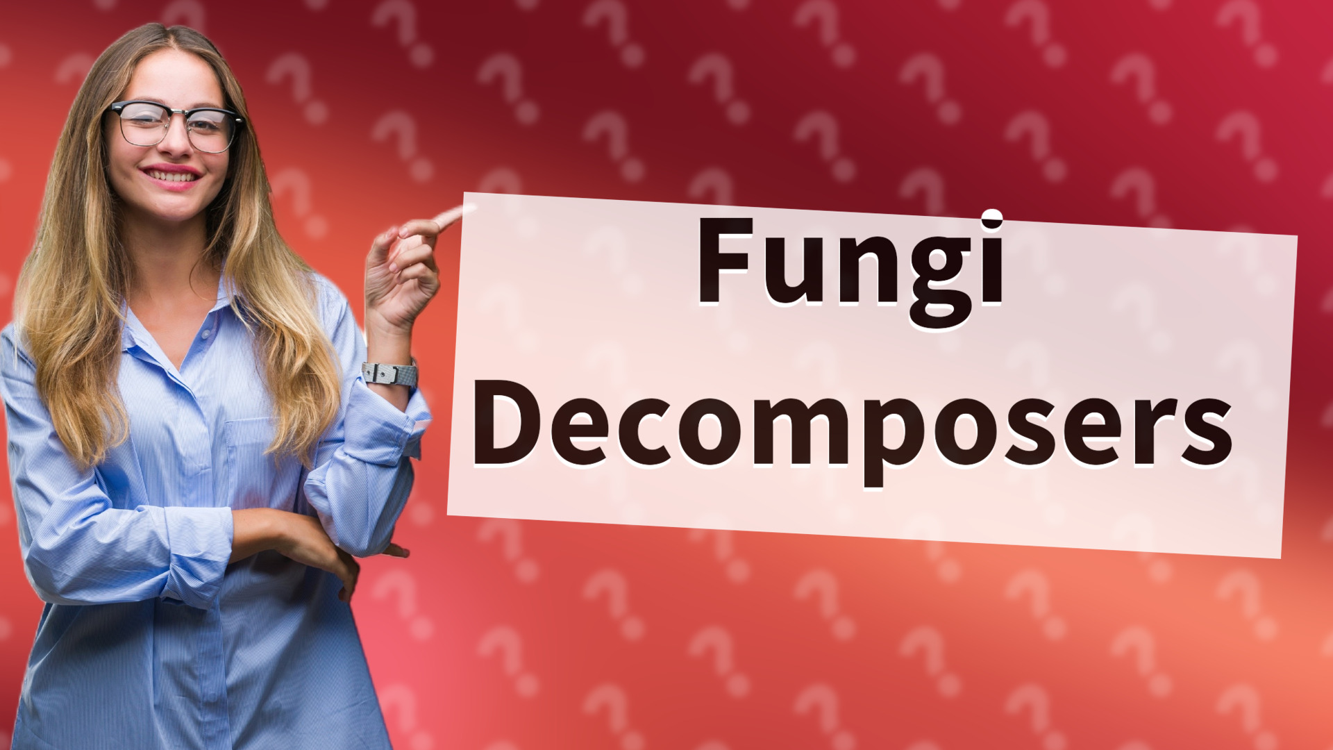 Fungi Decomposers