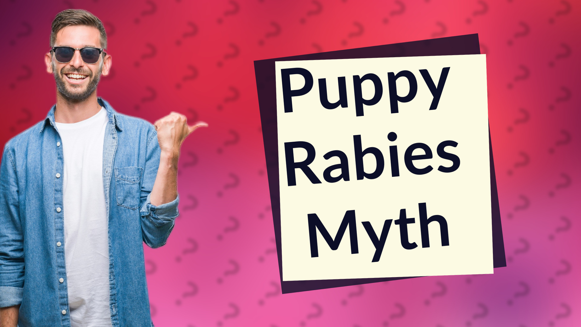 Puppy Rabies Myth