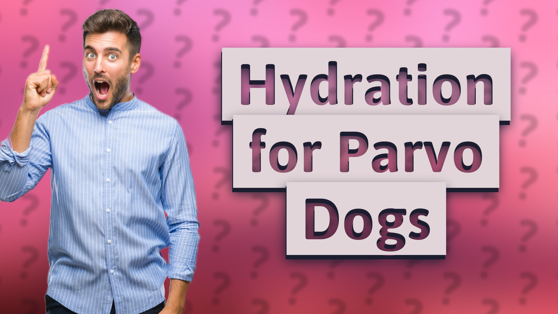 Hydration for Parvo Dogs
