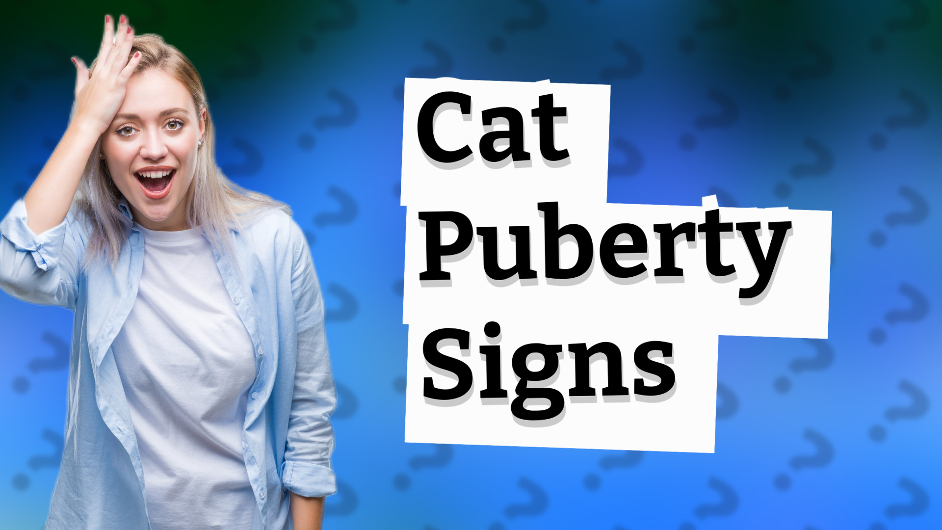 Cat Puberty Signs
