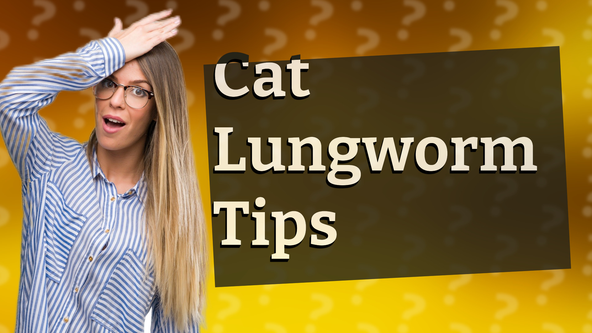 Cat Lungworm Tips