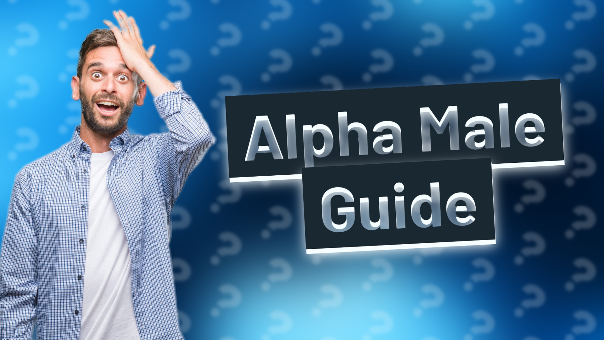Alpha Male Guide