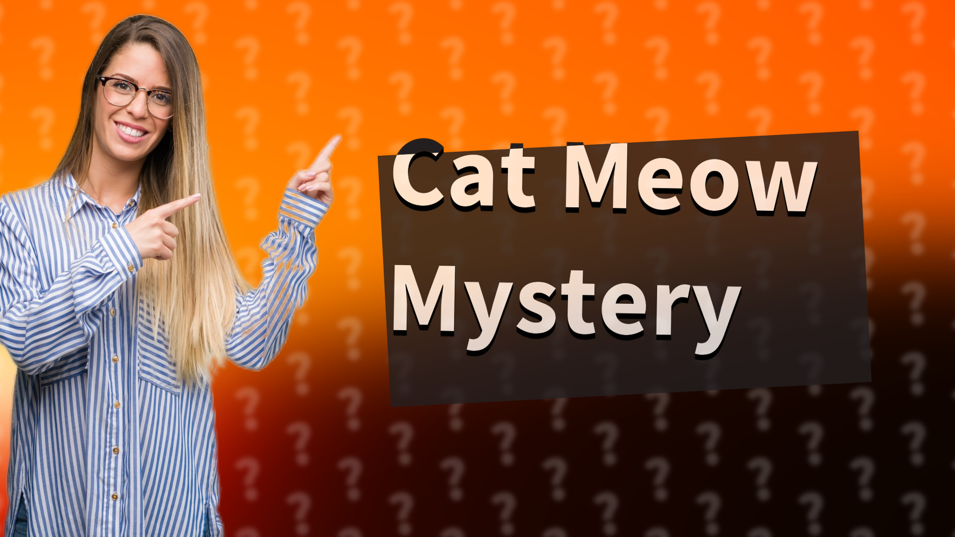 Cat Meow Mystery
