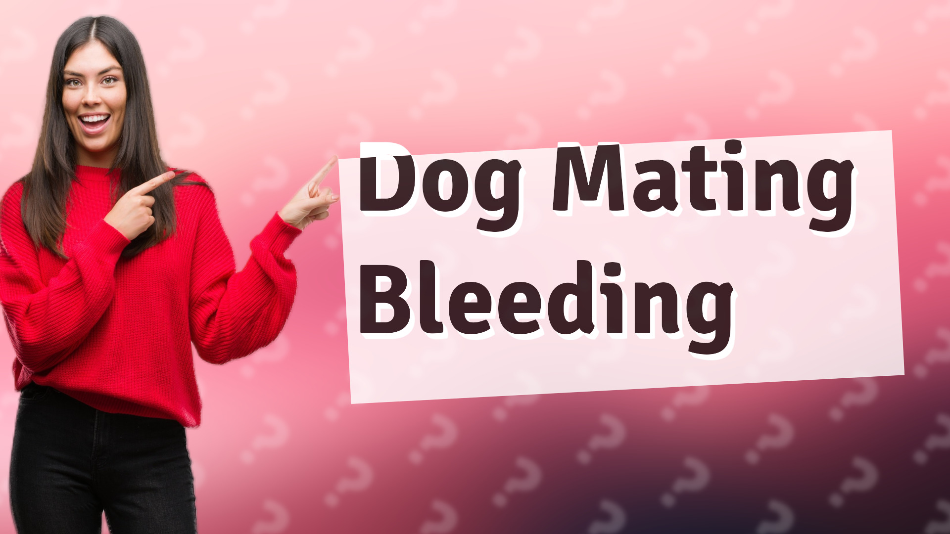 Dog Mating Bleeding