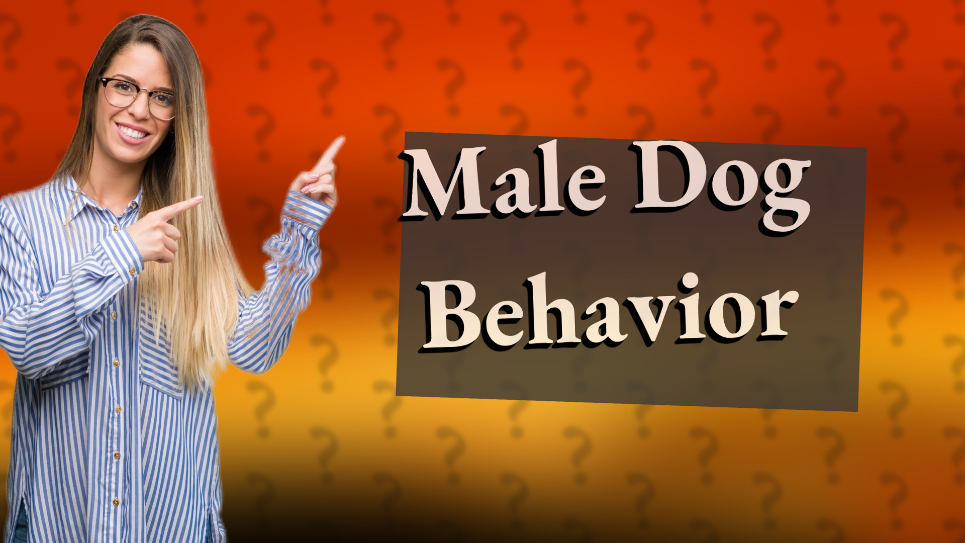 Male Dog Behavior