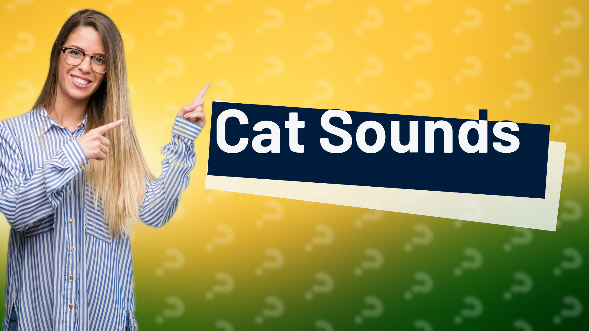 Cat Sounds