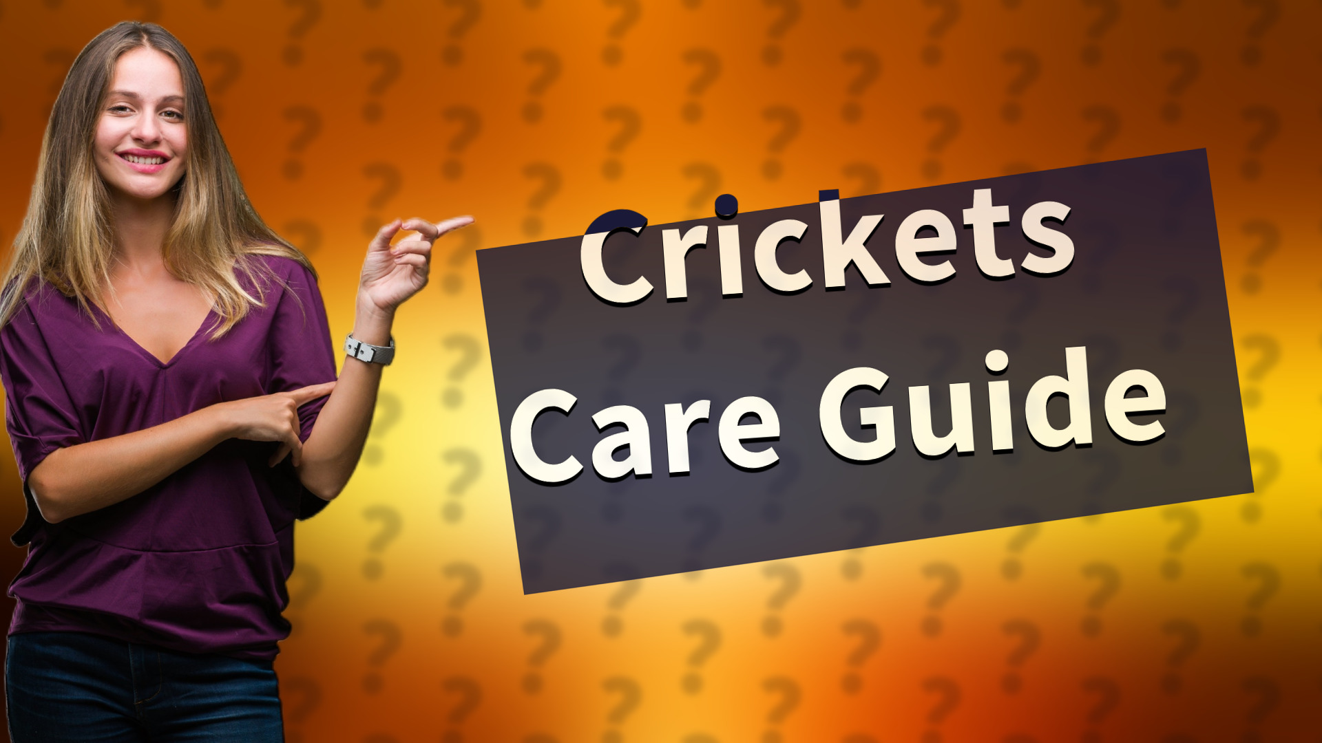 Crickets Care Guide