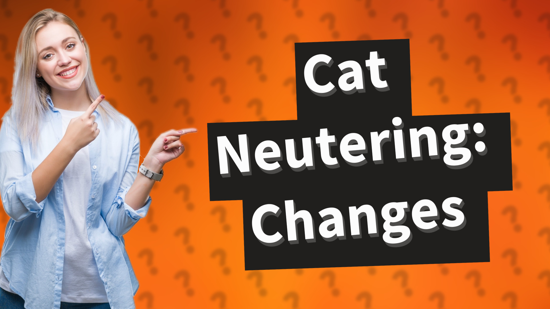Cat Neutering: Changes