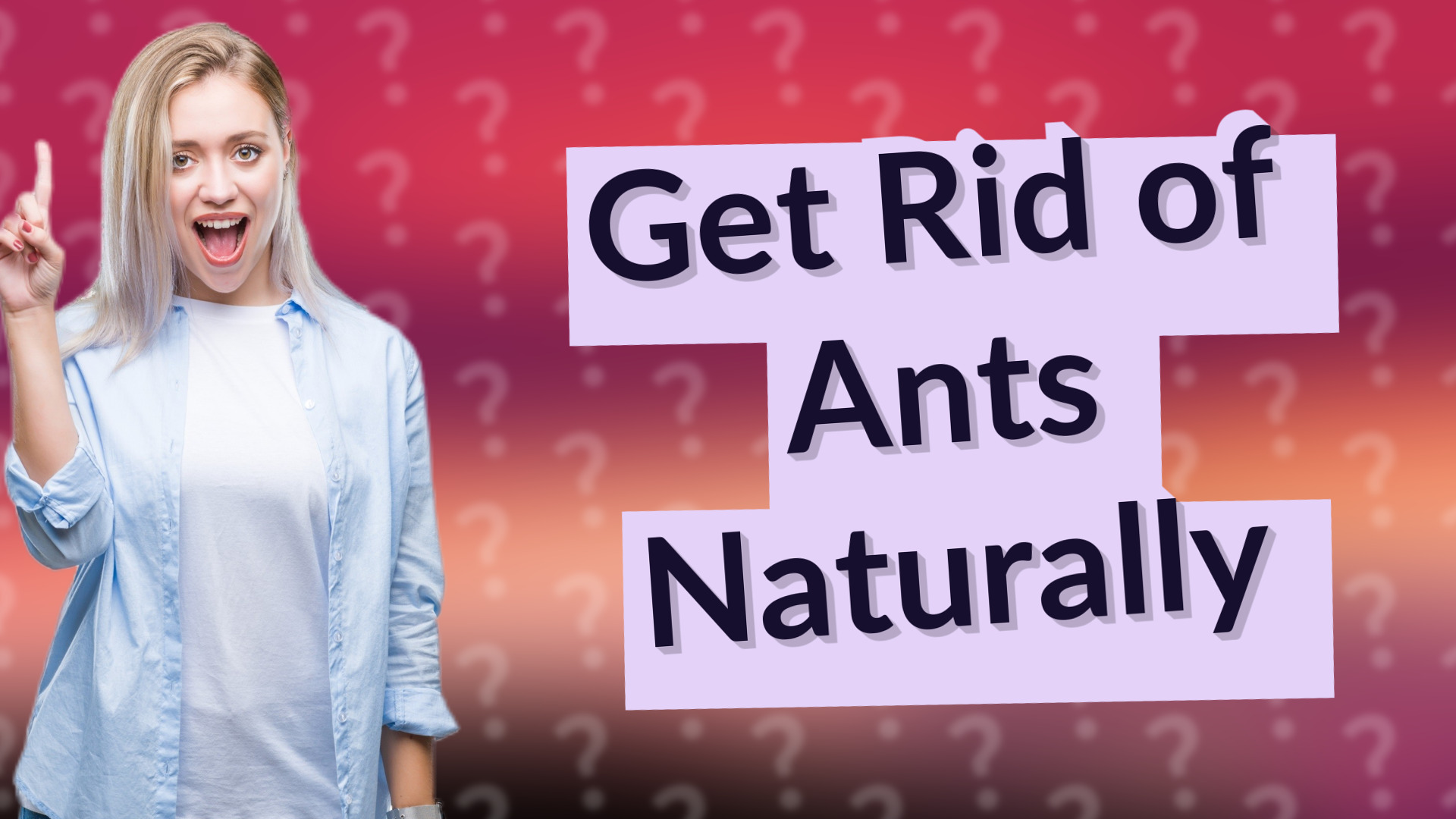 Get Rid of Ants Naturally