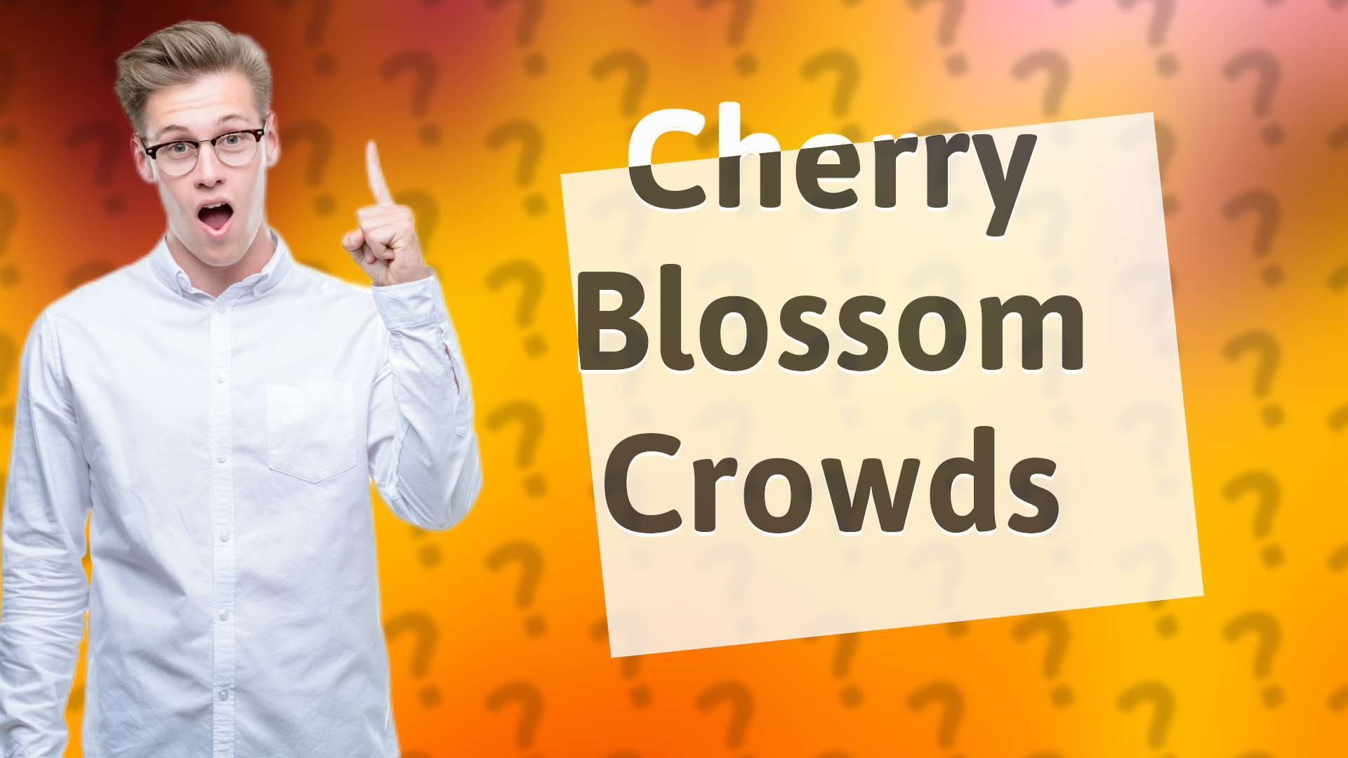 Cherry Blossom Crowds